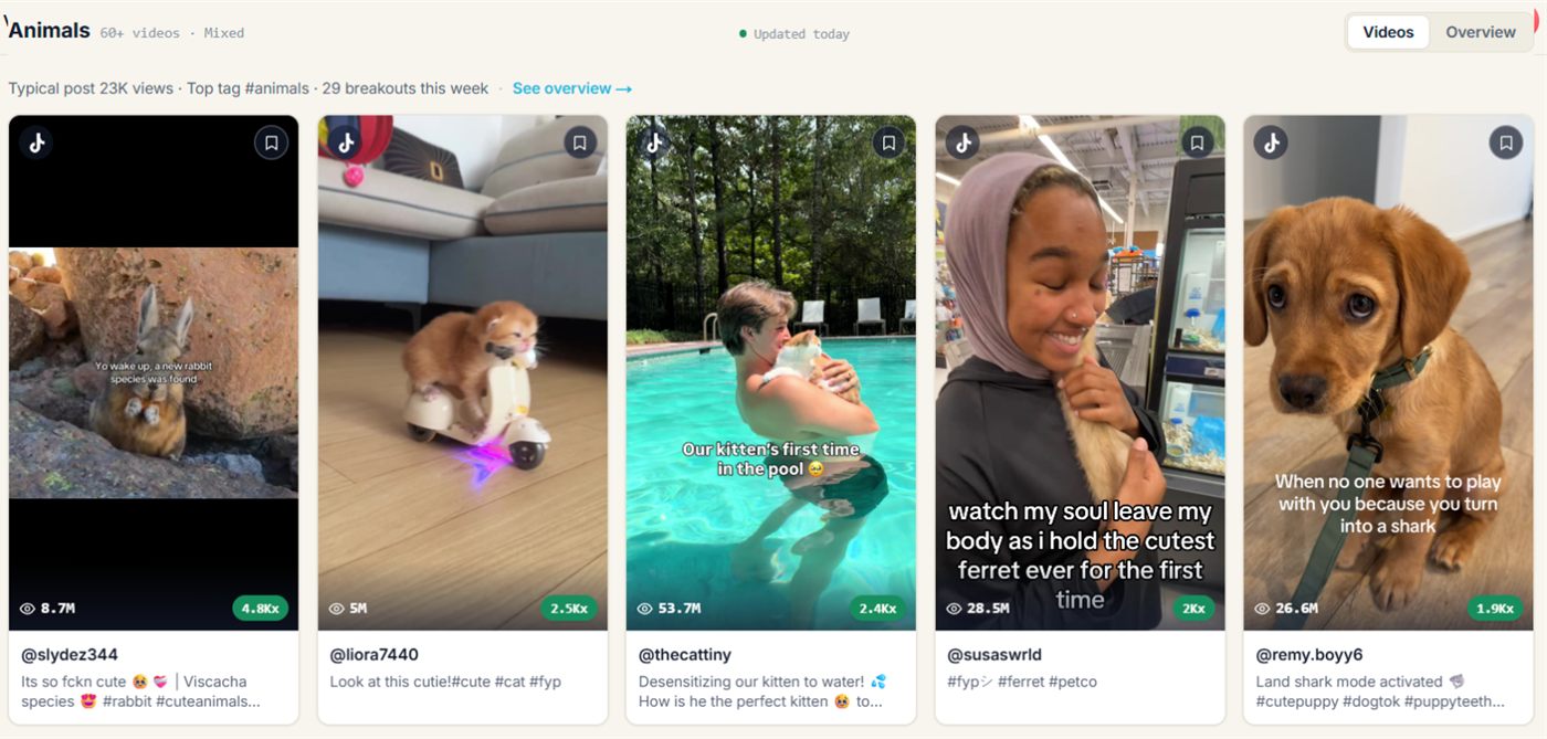 The Animals Viral Content Agent in fypnow, top videos sorted by multiplier